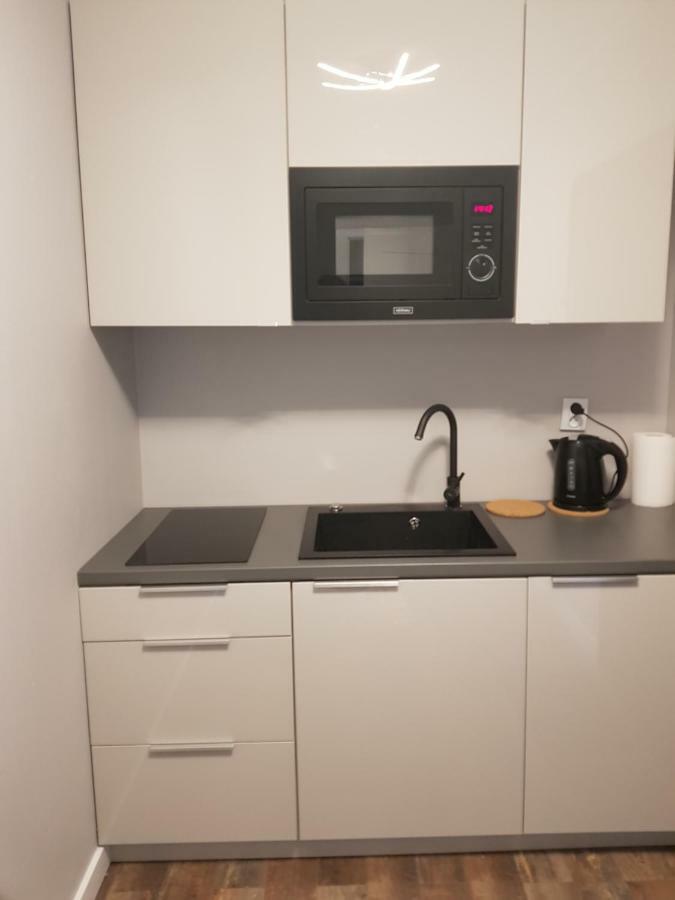 פוזנן Apartamenty Strzelecka מראה חיצוני תמונה